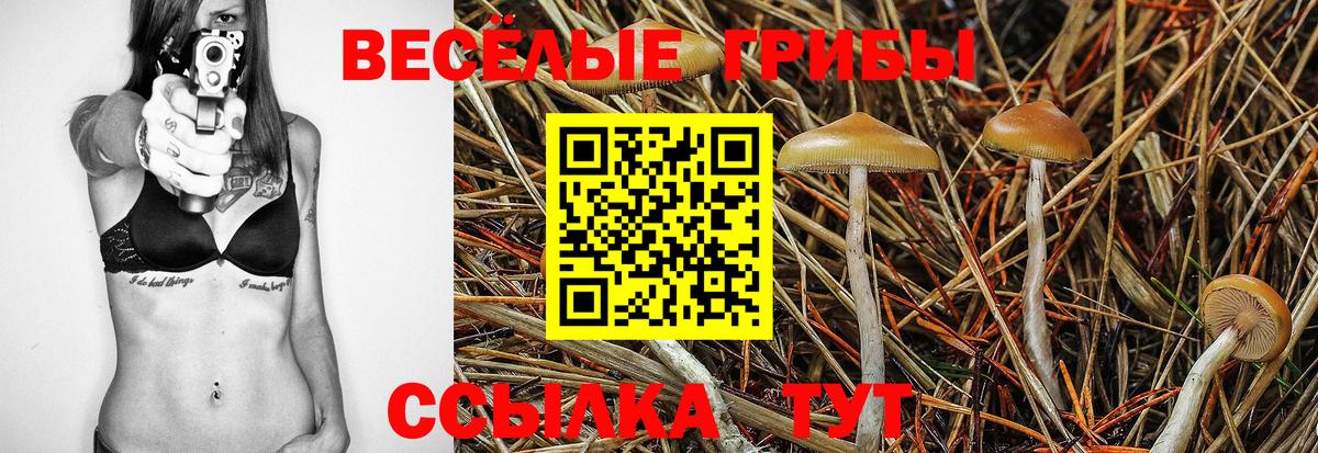 Галлюциногенные грибы Cubensis  Вход с VPN  Киров 