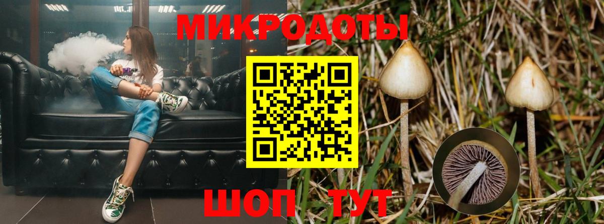 Амфетамин   Каннабис  Вход с VPN  А ПВП СК кристаллы  МДМА  МЕФ   Киров  ГАШ 