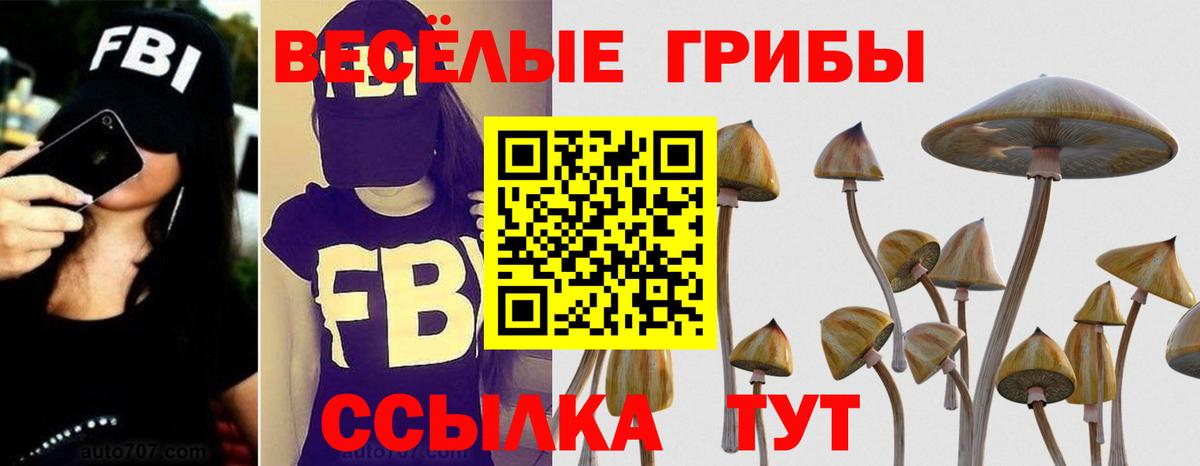 Псилоцибиновые грибы мухоморы Киров